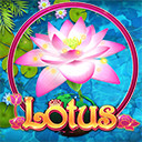 Lotus สล็อต