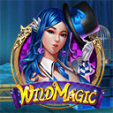 Wild Magic สล็อต