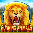 Running Animals สล็อต