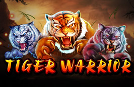 Tiger Warrior  สล็อต