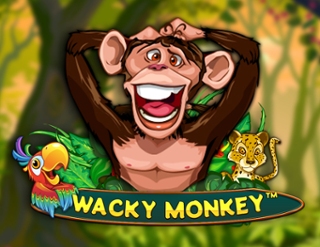 Wacky Monkey สล็อต