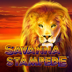Savanna Stampede สล็อต