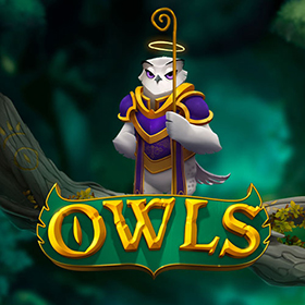 Owls สล็อต