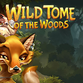 Wild Tome of the Woods สล็อต