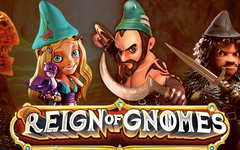 Reign Of Gnomes สล็อต