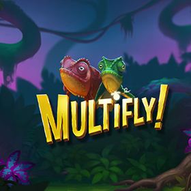 MULTIFLY สล็อต